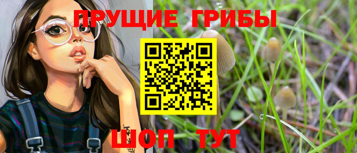 Псилоцибиновые грибы Cubensis  Вход с VPN  Кумертау 