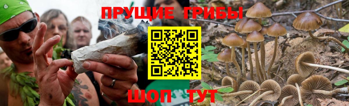 Кумертау  МЕТ  МЕФ   Бошки Шишки  Вход с VPN  Cocaine  LSD-25 